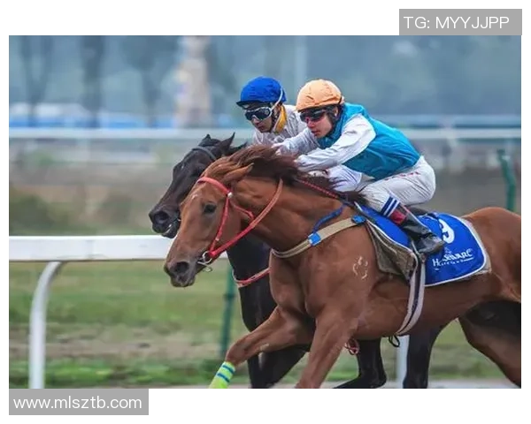 武汉乒乓球队速度对比分析揭示训练方法与技术提升的奥秘